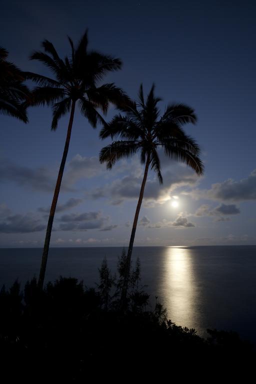 Hale Kai Hawaii Bed & Breakfast Хило Экстерьер фото