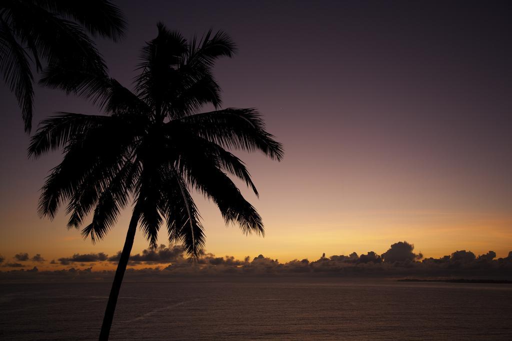Hale Kai Hawaii Bed & Breakfast Хило Экстерьер фото